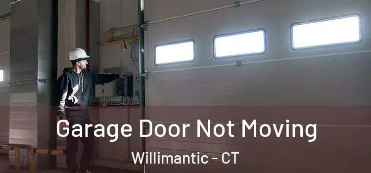 Garage Door Not Moving Willimantic - CT